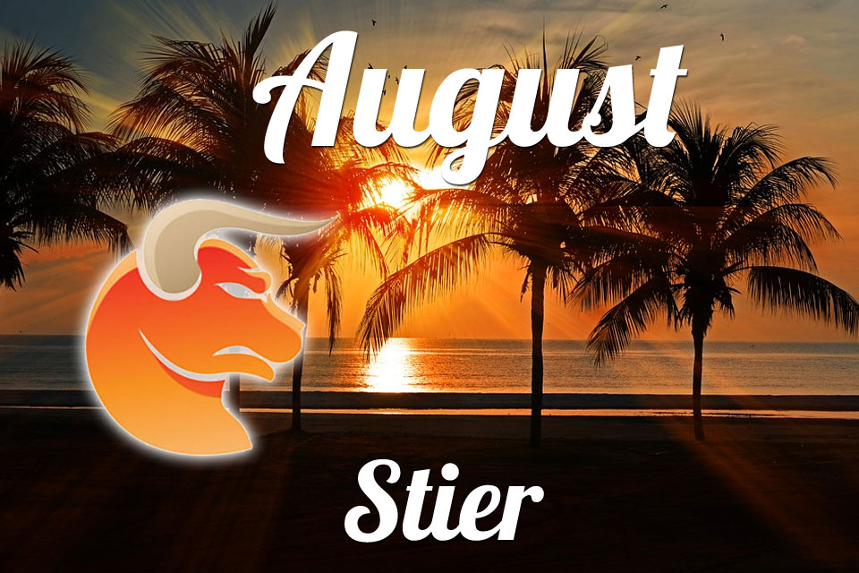 Stier August 2023