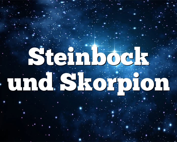 Steinbock skorpion beziehung
