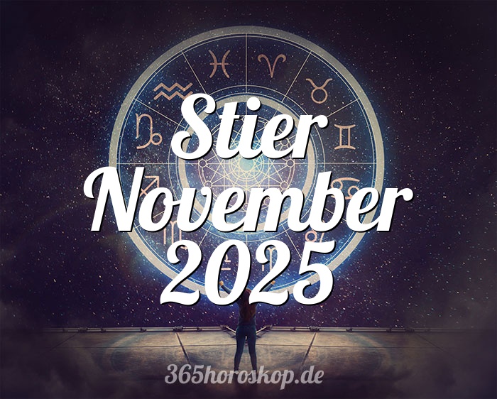 Stier November 2025